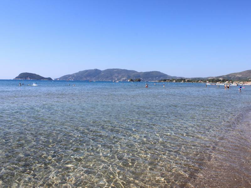 Immagine 6
